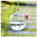 Овезон Glass Terrarium Ball гулдон Glass